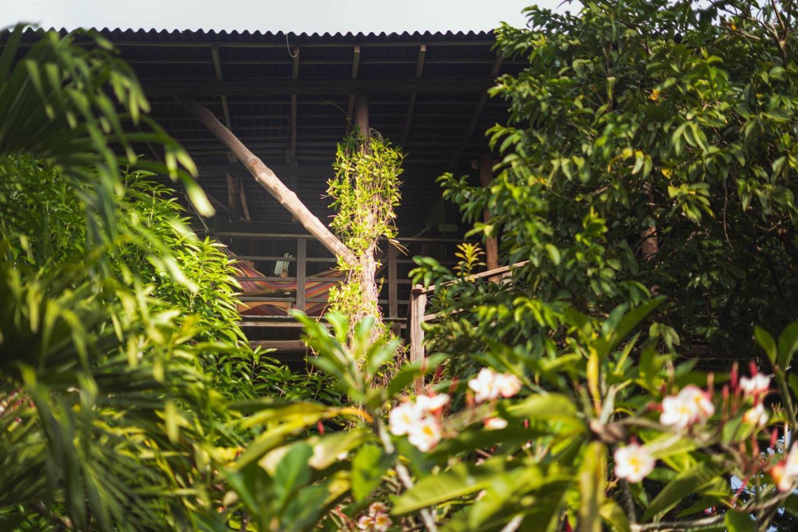 Nuba Boutique Hostel Palomino Eksteriør bilde